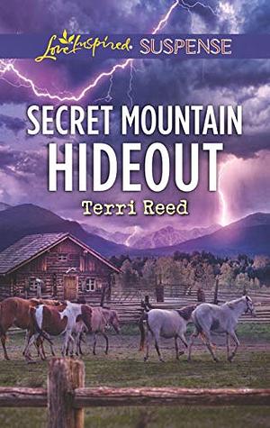 Secret Mountain Hideout by Terri Reed