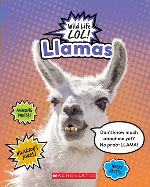 Llamas by Mara Grunbaum