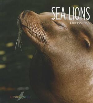 Sea Lions by Melissa Gish