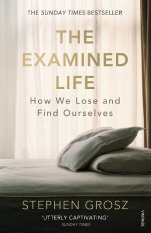 The Examined Life: How We Lose and Find Ourselves by Stephen Grosz
