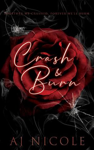 Crash &amp; Burn by AJ Nicole