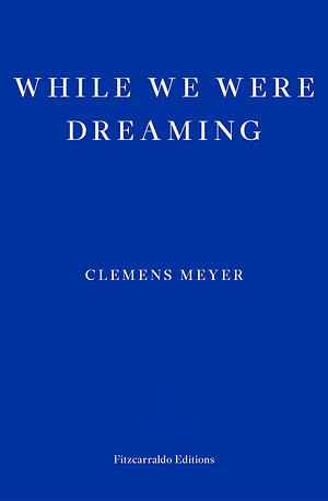 While We Were Dreaming by Clemens Meyer