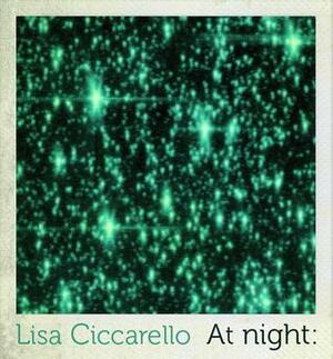 At night: by Lisa Ciccarello