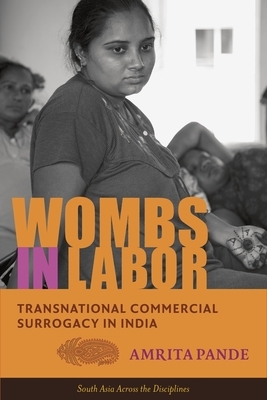 Wombs in Labor: Transnational Commercial Surrogacy in India by Amrita Pande