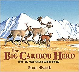 The Big Caribou Herd by Bruce Hiscock