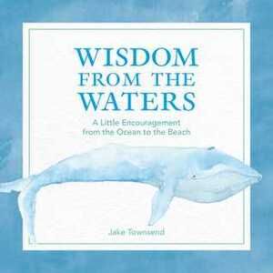 Wisdom from the Waters: A Little Encouragement from the Ocean to the Beach by Jake Townsend