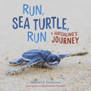 Run, Sea Turtle, Run: A Hatchling's Journey by Stephen Swinburne