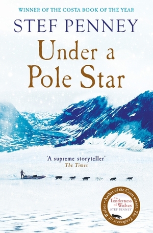 Under A Pole Star by Stef Penney