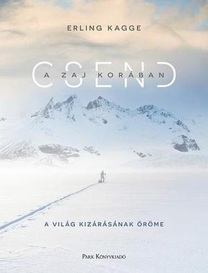 Csend ​a zaj korában by Erling Kagge, Erling Kagge