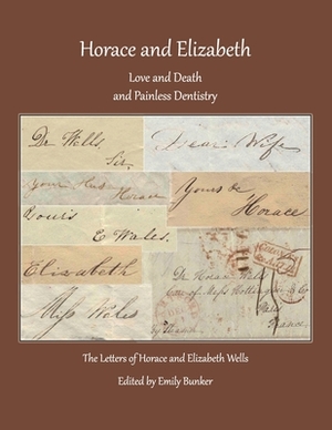 Horace and Elizabeth: Love and Death and Painless Dentistry: The Letters of Horace and Elizabeth Wells by Emily Bunker