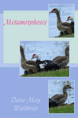 Metamorphosis by Dana-May Winthrop