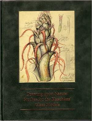 Drawing Upon Nature: Studies for the Blaschkas' Glass Models by Harvard University Staff, Susan M. Rossi-Wilcox, Corning Museum of Glass Staff