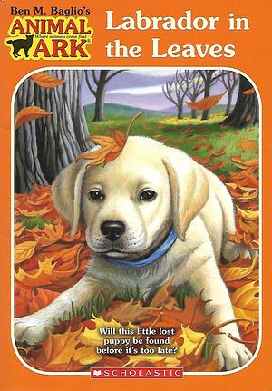 Labrador in the Leaves by Ben M. Baglio