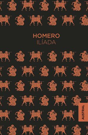 Ilíada by Homer