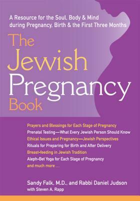 The Jewish Pregnancy Book: A Resource for the Soul, Body & Mind During Pregnancy, Birth & the First Three Months by Sandy Falk, Daniel Judson