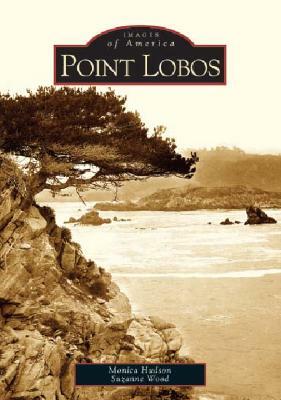 Point Lobos by Suzanne Wood, Monica Hudson