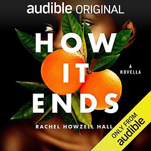 How It Ends by Rachel Howzell Hall