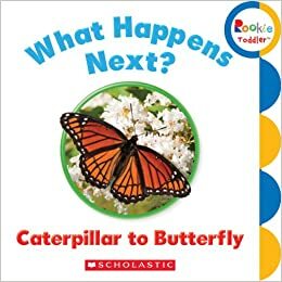 What Happens Next? Caterpillar to Butterfly by Children's Press