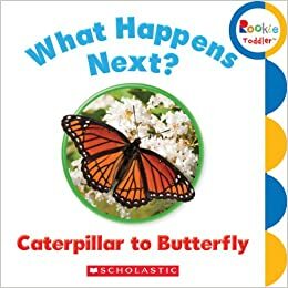 What Happens Next? Caterpillar to Butterfly by Children's Press