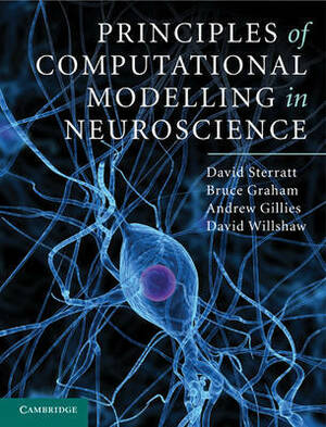 Principles of Computational Modelling in Neuroscience by Bruce Graham, Andrew Gillies, David Sterratt