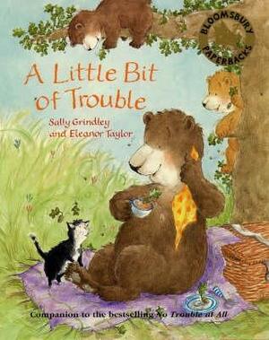 A Little Bit Of Trouble by Sally Grindley