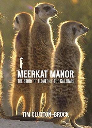 Meerkat Manor by Timothy Hugh Clutton-Brock