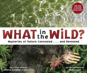 What in the Wild? by David M. Schwartz, Yael Schy, Dwight Kuhn