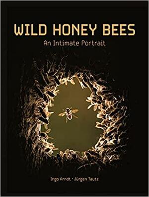 Wild Honey Bees: An Intimate Portrait by J�rgen Tautz, Ingo Arndt, Thomas D Seeley