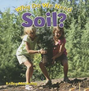 Why Do We Need Soil? by Kelley MacAulay