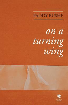 On a Turning Wing by Paddy Bushe