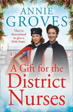 A Gift for the District Nurses by Annie Groves