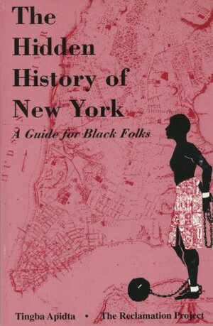 The Hidden History of New York by Tingba Apidta