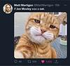 pepper1133's profile picture