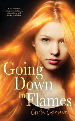 Going Down in Flames (a Going Down in Flames Novel) by Chris Cannon