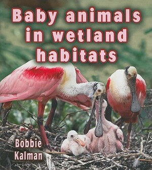 Baby Animals in Wetland Habitats by Bobbie Kalman