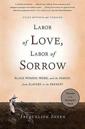 Labor of Love, Labor of Sorrow: Black Women, Work, and the Family from Slavery to the Present by Jacqueline A. Jones