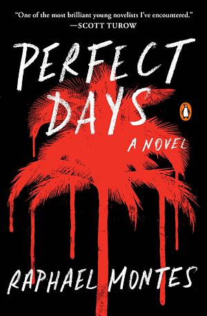 Perfect Days by Raphael Montes