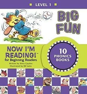 Now I'm Reading! Level 1: Big Fun by Nora Gaydos