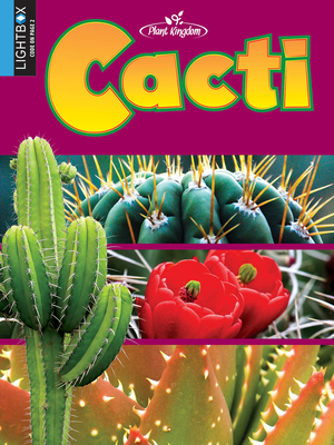 Cacti by Rowena Rae