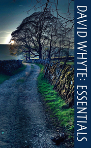 David Whyte Essentials by David Whyte