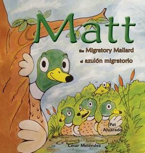 Matt: The Migratory Mallard * el azulón migratorio by Pat Alvarado