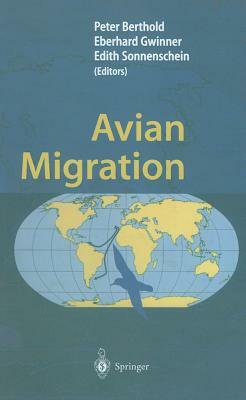 Avian Migration by 