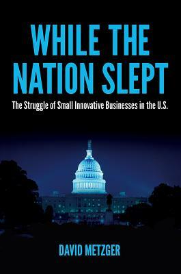 While the Nation Slept: The Struggle of Innovative Small Business in the Us by David Metzger