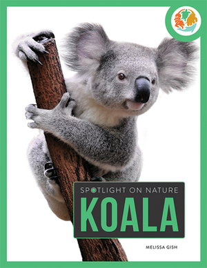 Koala by Melissa Gish