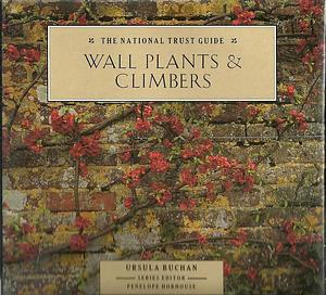 Wall Plants &amp; Climbers by Ursula Buchan