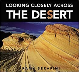 Looking Closely Across the Desert by Frank Serafini