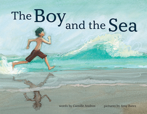 The Boy and the Sea by Camille Andros