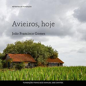 Avieiros, hoje by João Francisco Gomes