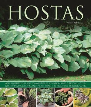 Hostas: An Illustrated Guide to Varieties, Cultivation and Care, with Step-By-Step Instructions and More Than 130 Beautiful Ph by Andrew Mikolajski