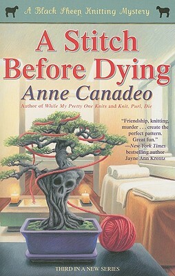 A Stitch Before Dying by Anne Canadeo